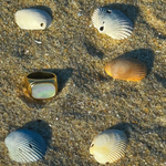 Load image into Gallery viewer, Kailani ring